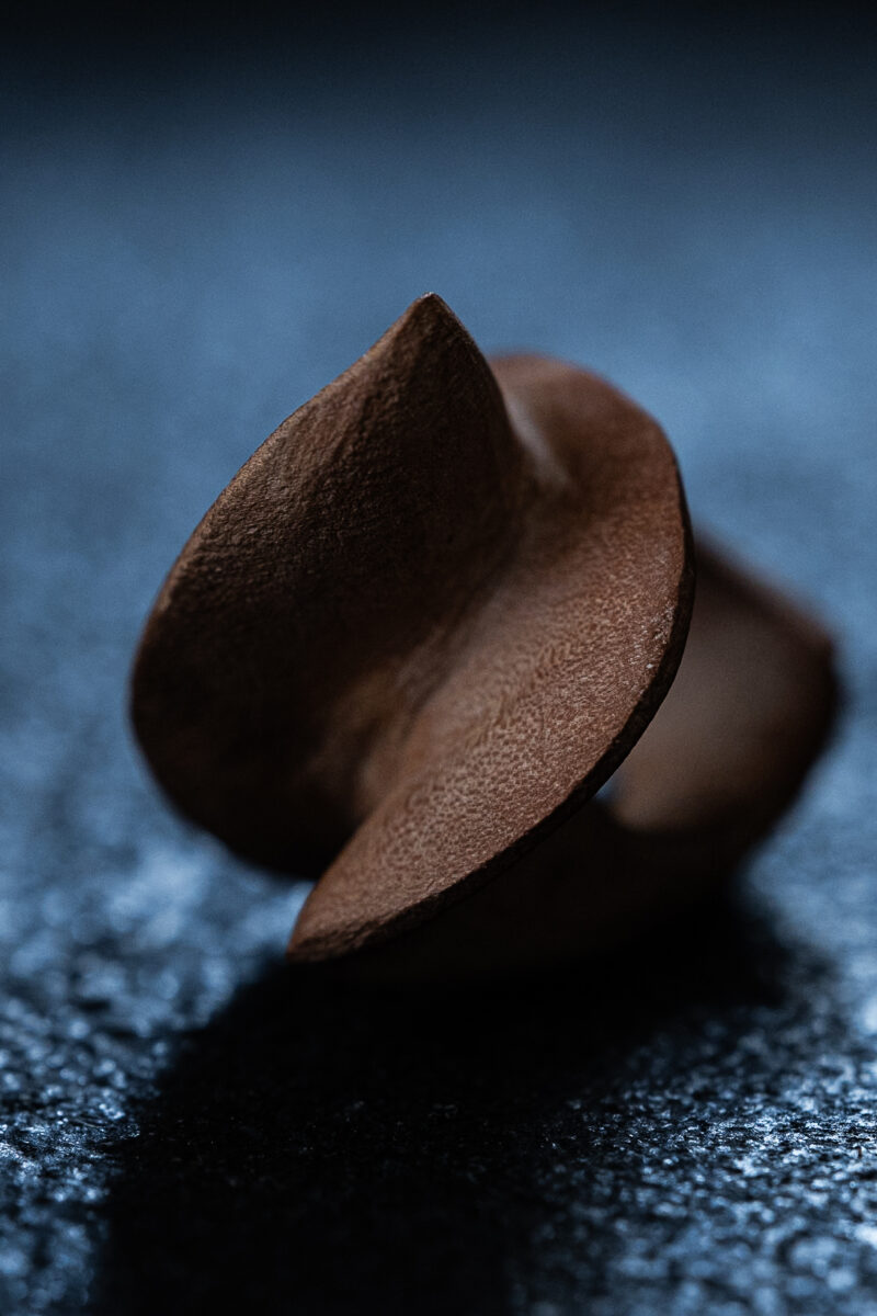 Wooden ring
